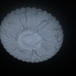 shimeng520的头像黑科技-影视-软件-资源-下载-音乐软件-技术资源YHY科技站